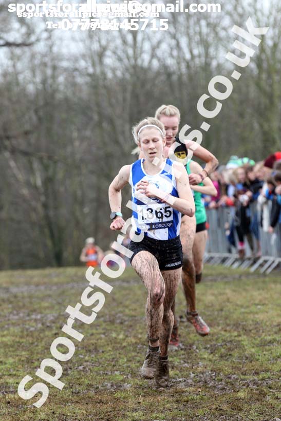 Senior womens 2018 British Inter Counties Cross Country Champs., Prestwold Hall, Loughborough. Photo: David T. Hewitson/Sports for All Pics